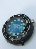 Timothy John custom painted dial (Regia Armour Fish Diver -silvertone) (free shipping) (1 piece only)