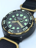 Regia Diver 2018 - NEW Angry Eye Grey sunburst dial (Gold) (free shipping)