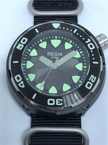 Regia Diver 2018 - NEW Grey sunburst dial (Silver) (free shipping)